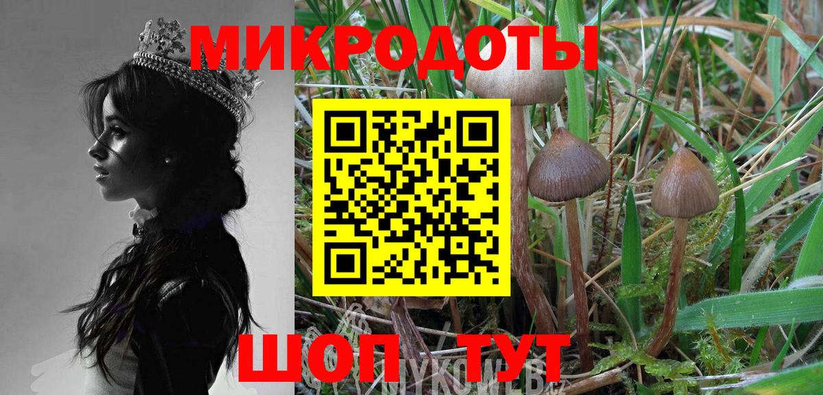 Галлюциногенные грибы Psilocybine cubensis  Вход с VPN  цены наркотик  Реутов 